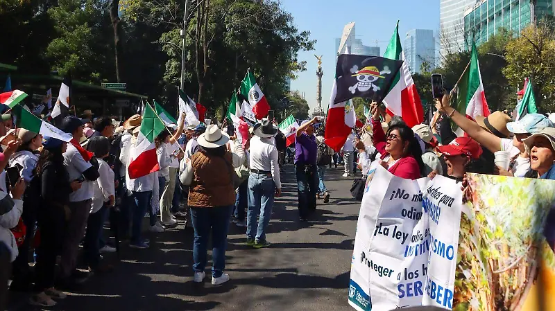 Marcha Generación Z